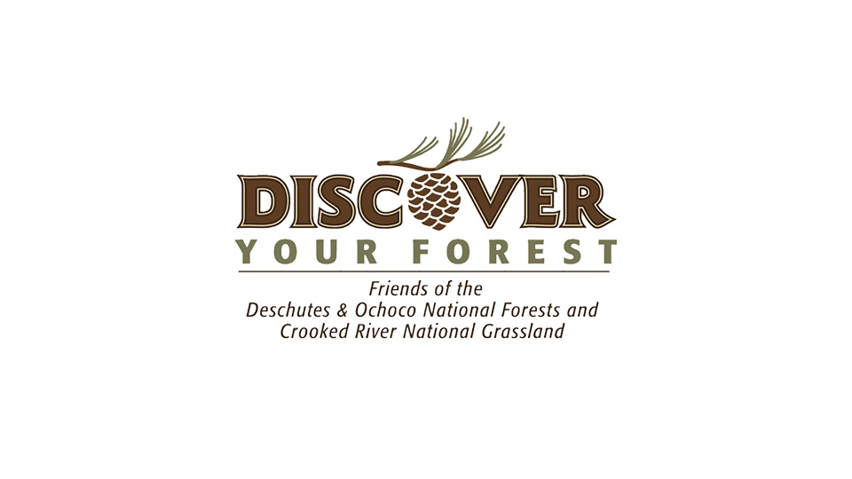 Discover Your Forest logo